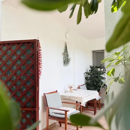 Guest house Tai - Spacious And Comfy With Private Terrace