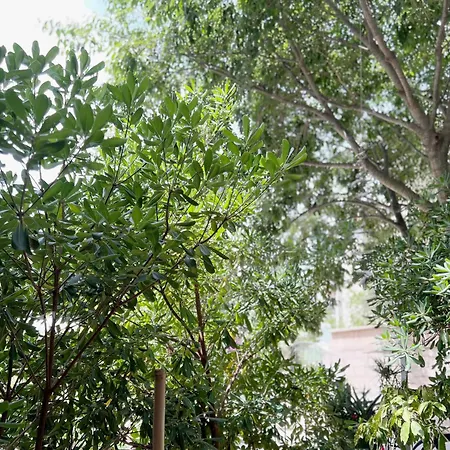 Tai - Spacious And Comfy With Private Terrace Pensjonat 3*